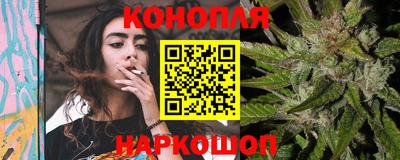 шишки Будённовск