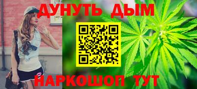 шишки Будённовск