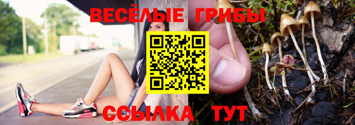 Псилоцибиновые грибы ЛСД  Псилоцибиновые грибы MAGIC MUSHROOMS  Вход с VPN  Ульяновск 